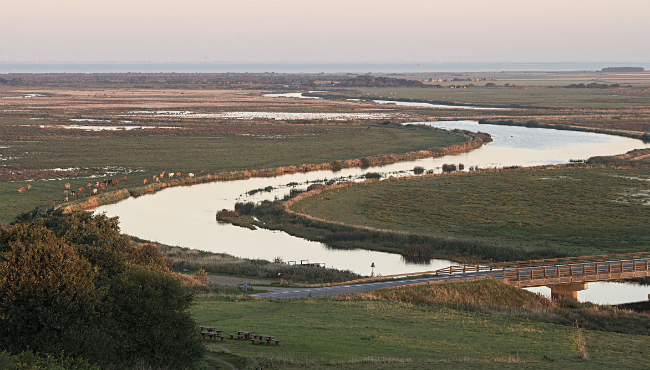 Kan du fange Nationalpark Skjern Å i ét billede? 